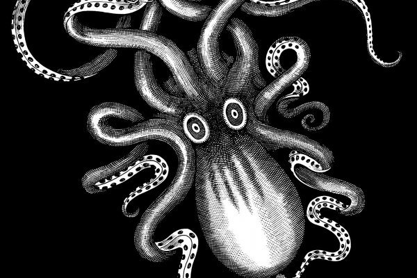 Kraken market